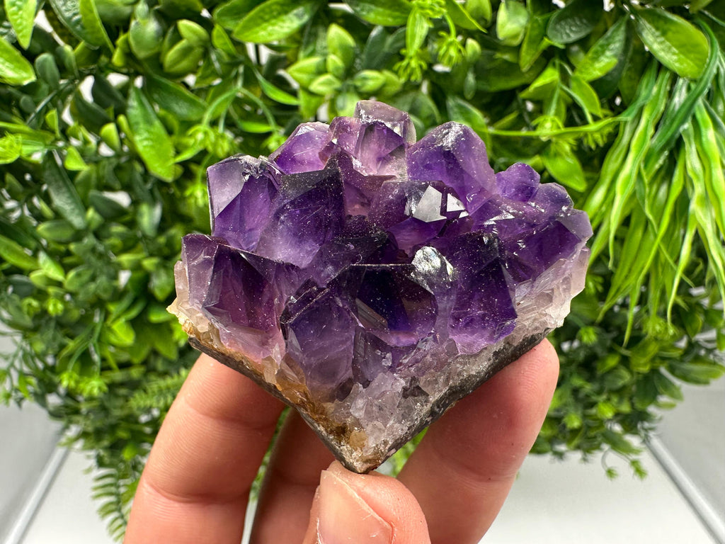 Natural Purple Amethyst Crystal Cluster from Uruguay