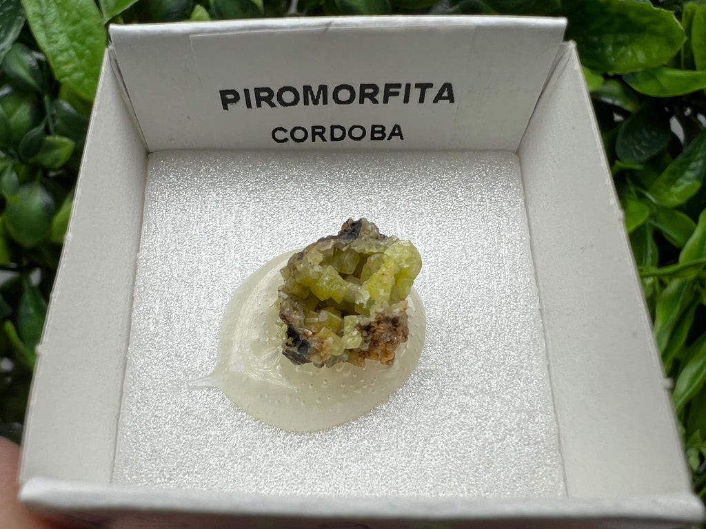 Pyromorphite Stone / Pyromorphite on Matrix / Pyromorphite Crystal / Raw Crystal / Pyromorphite Cluster / Rough Pyromorphite / Pyromorphite