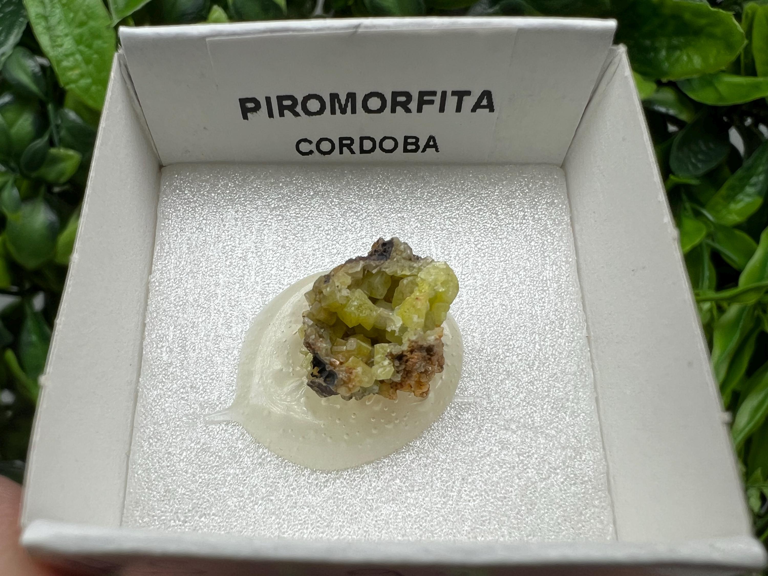 Pyromorphite Stone / Pyromorphite on Matrix / Pyromorphite Crystal / Raw Crystal / Pyromorphite Cluster / Rough Pyromorphite / Pyromorphite