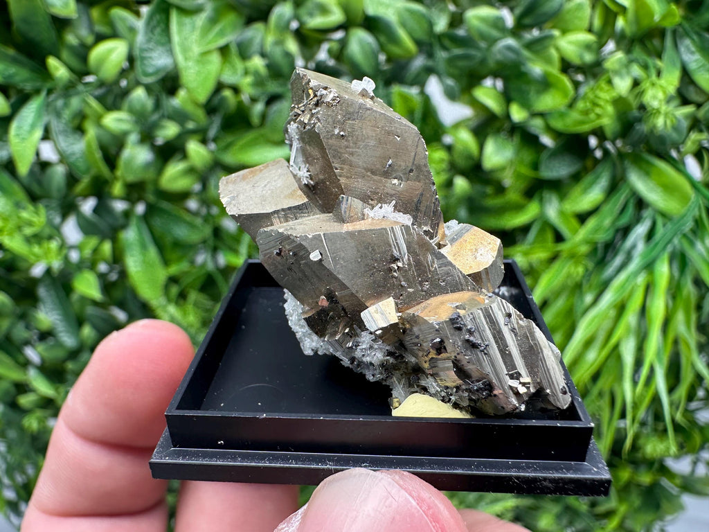 Rare Crystalline Pyrite Cluster - Borieva Mine, Bulgaria