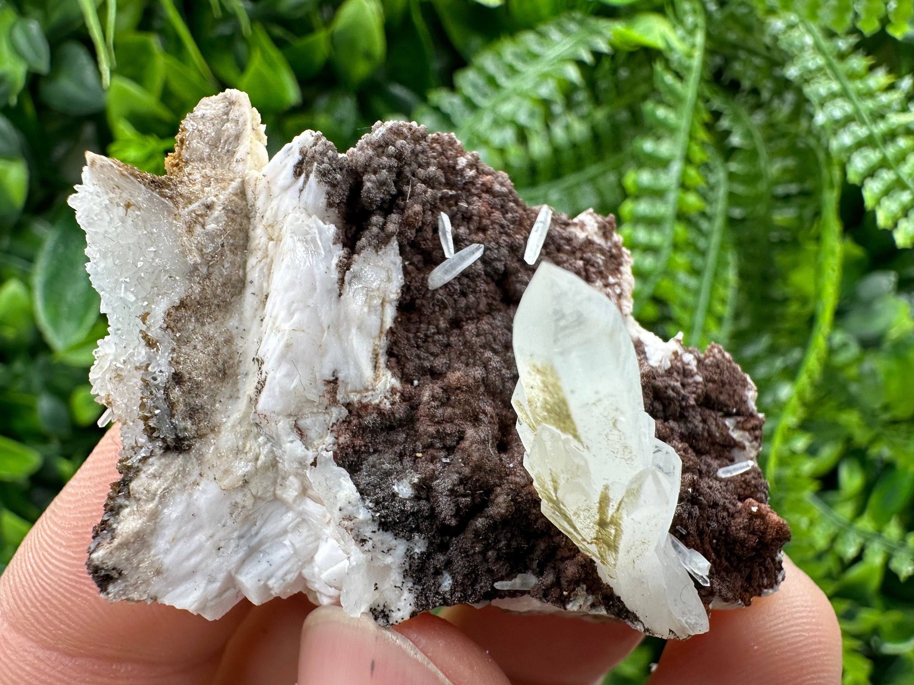 Quartz with Chlorite on Rhodochrosite and Siderite Mineral Specimen