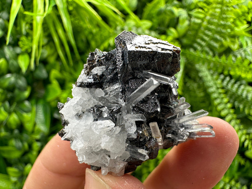 Sphalerite on Transparent Quartz, Kryshev Dol Bulgaria