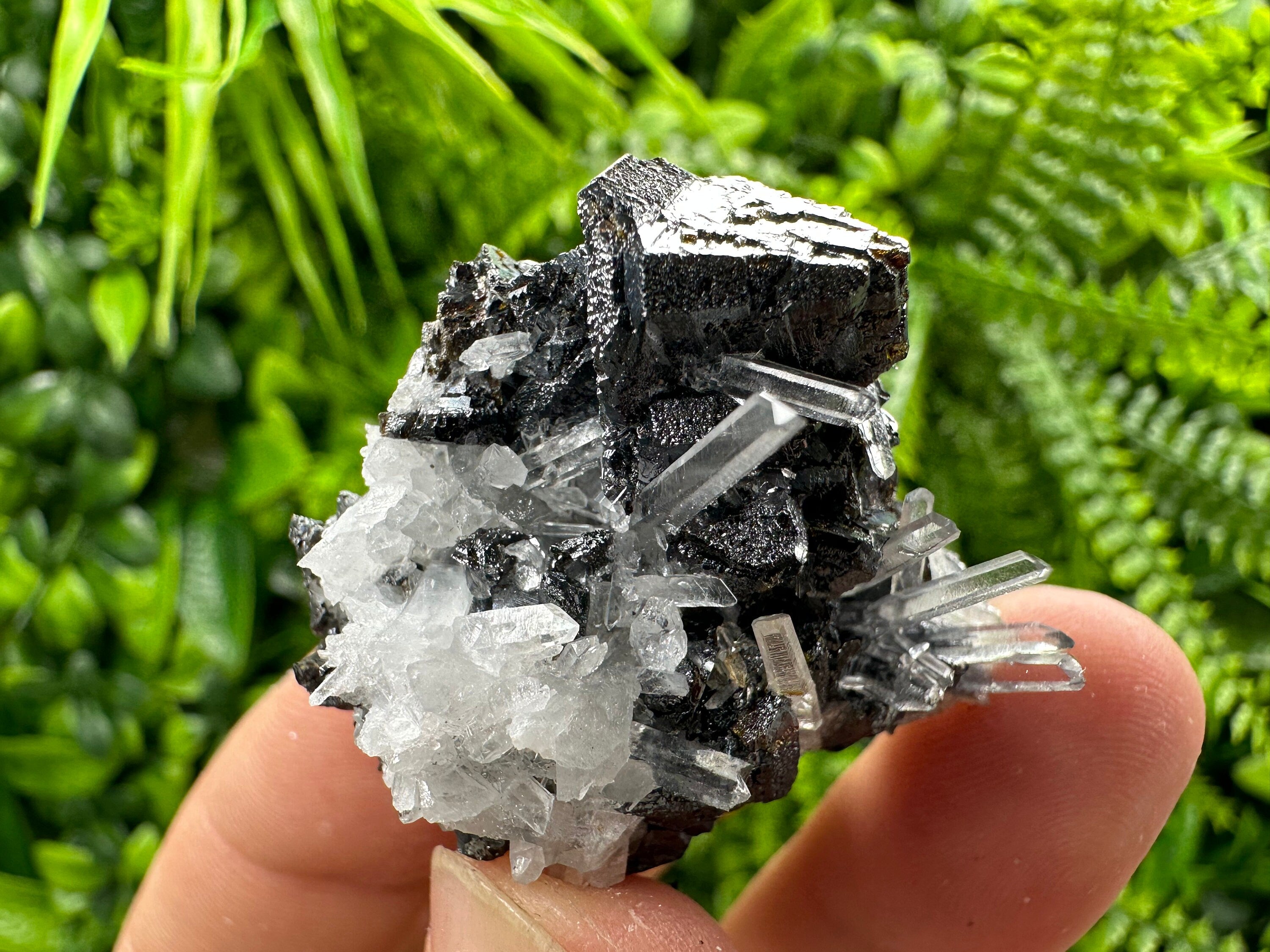 Sphalerite on Transparent Quartz, Kryshev Dol Bulgaria
