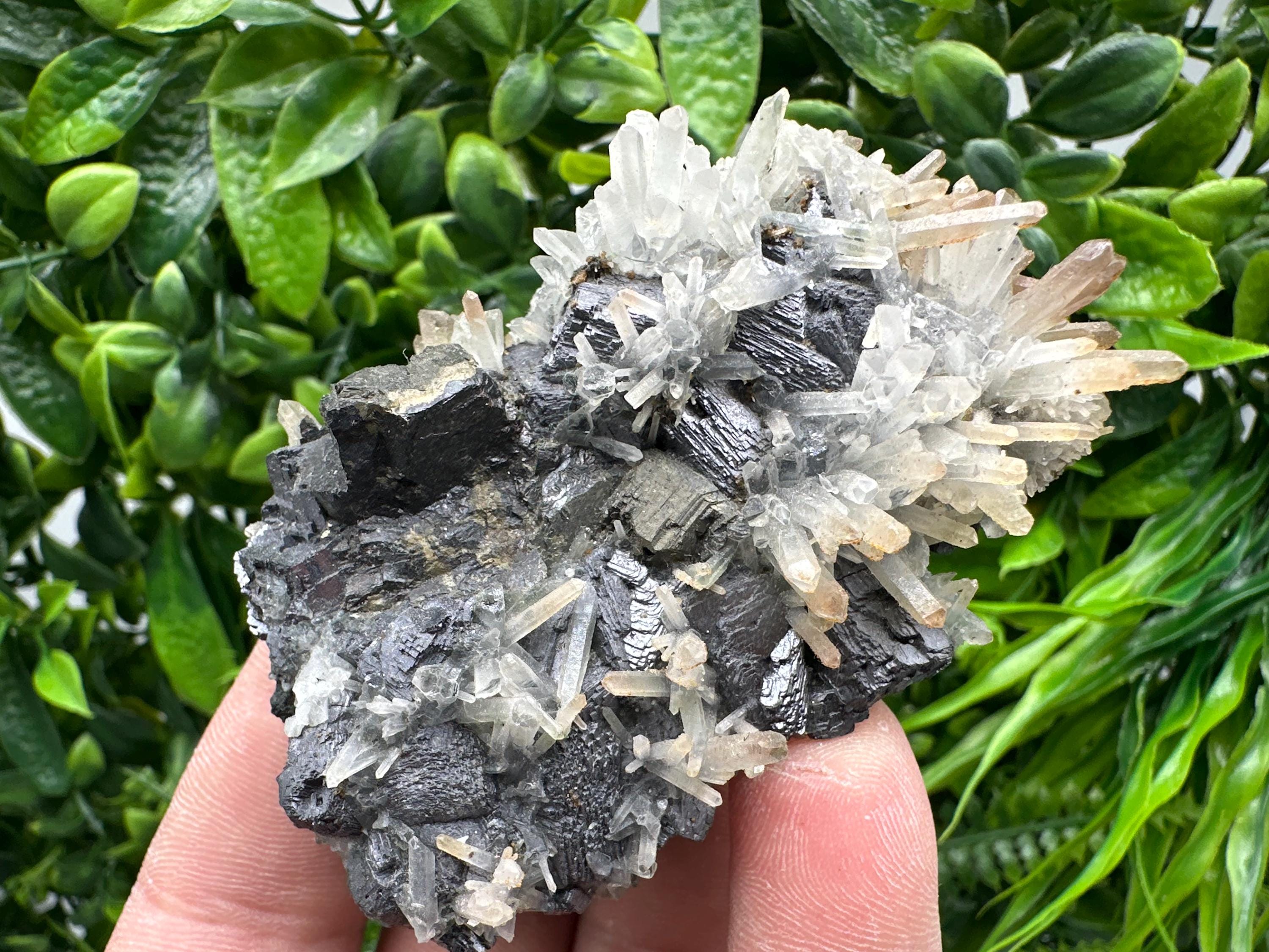 Galena, Sphalerite, Chalcopyrite, and Quartz Mineral Specimen, Djurcovo Mine