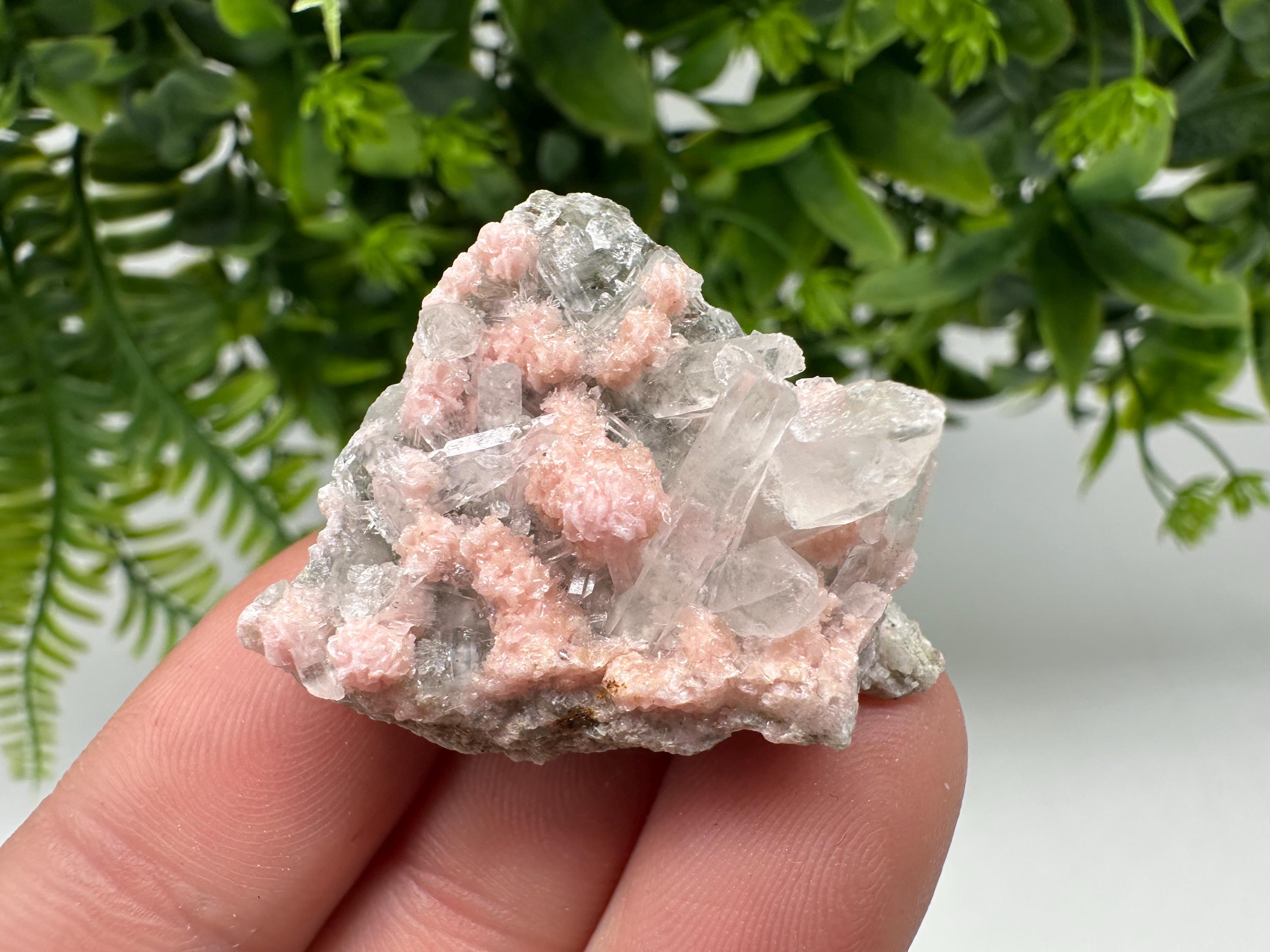 Pink Rhodochrosite Crystal: Starnica Mine, Bulgaria, Home Decor