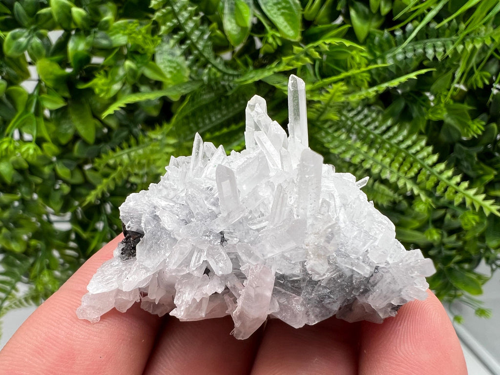 Borieva Mine Transparent Quartz Cluster, Natural Crystal Specimen