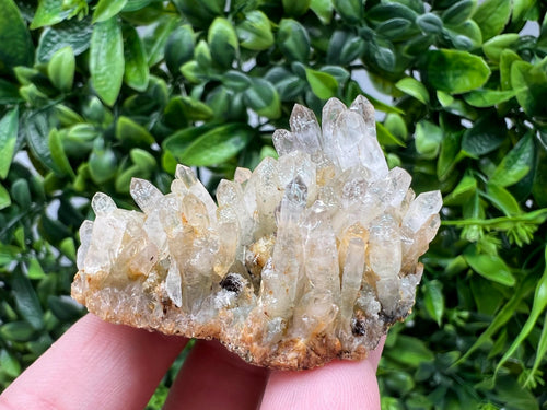 Bulgarian Quartz Mineral Specimen: Iron Oxide Limonite Inclusion