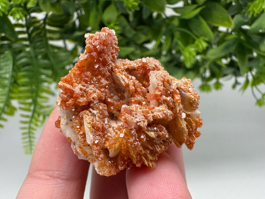Red Vanadinite on Barite from Marocco,crystal minerals Speciment cluster Vanadinite crystal Vanadinite Geology Vanadinite cluster minerals