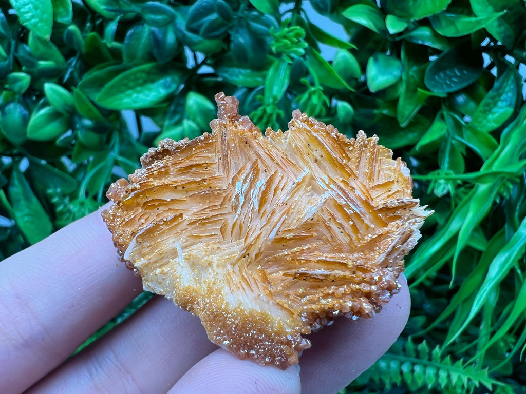 Red Vanadinite on Barite from Marocco,crystal minerals Speciment cluster Vanadinite crystal Vanadinite Geology Vanadinite cluster minerals