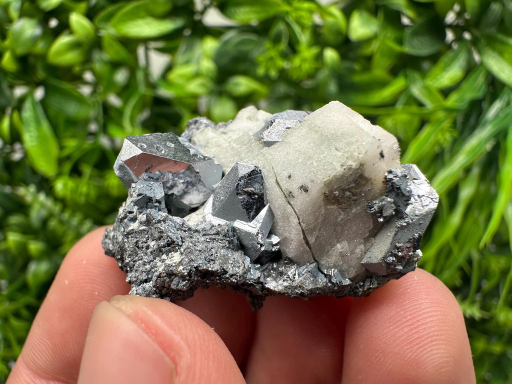 Stunning Shpinel Galena on Sphalerite,Calcite from Borieva mine,Madan,Bulgaria,Natural,collectible mineral specimen,home decor,collectible’s