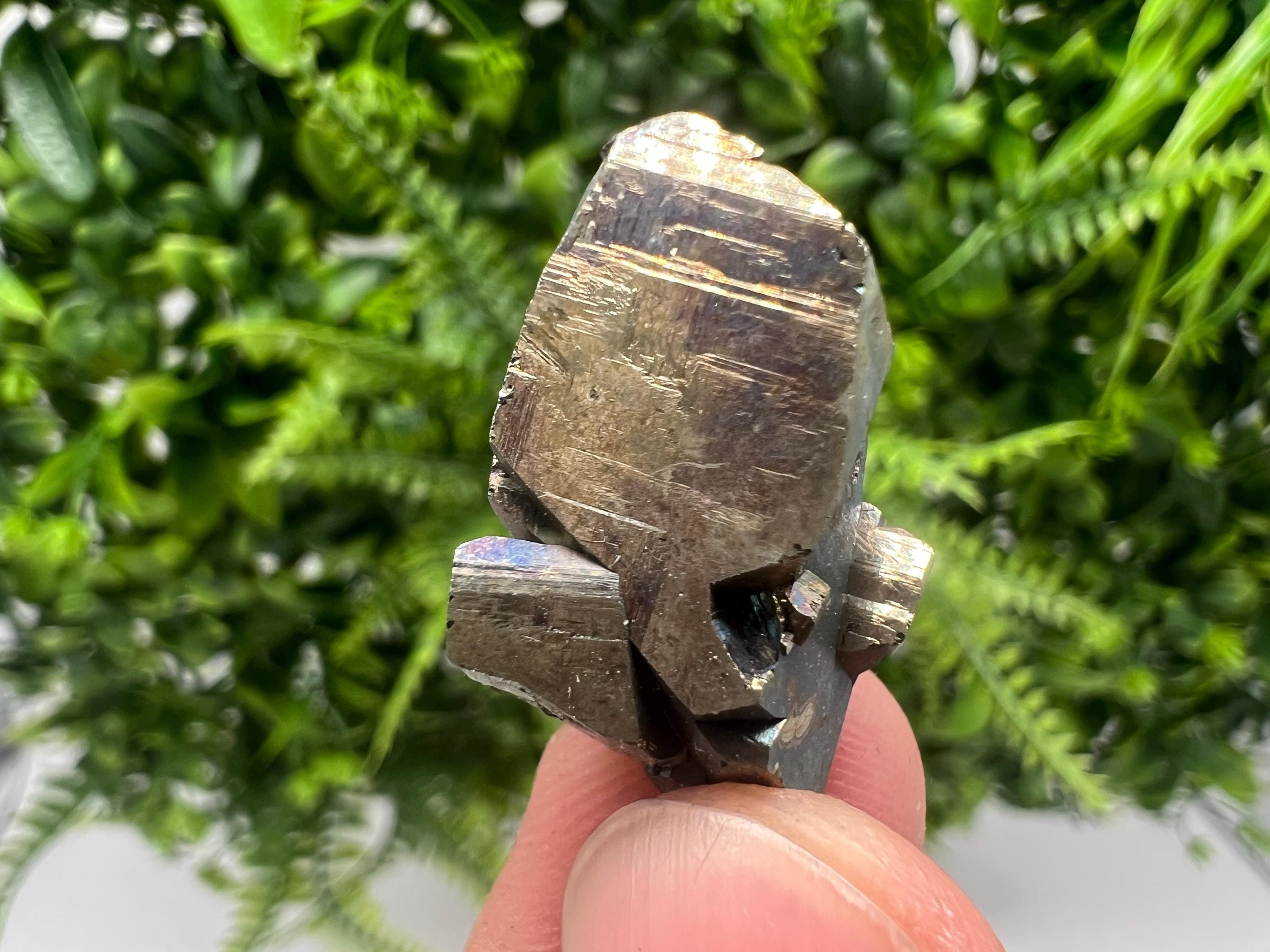 Mini Rainbow Pyrite Cluster: Borieva Mine, Bulgaria