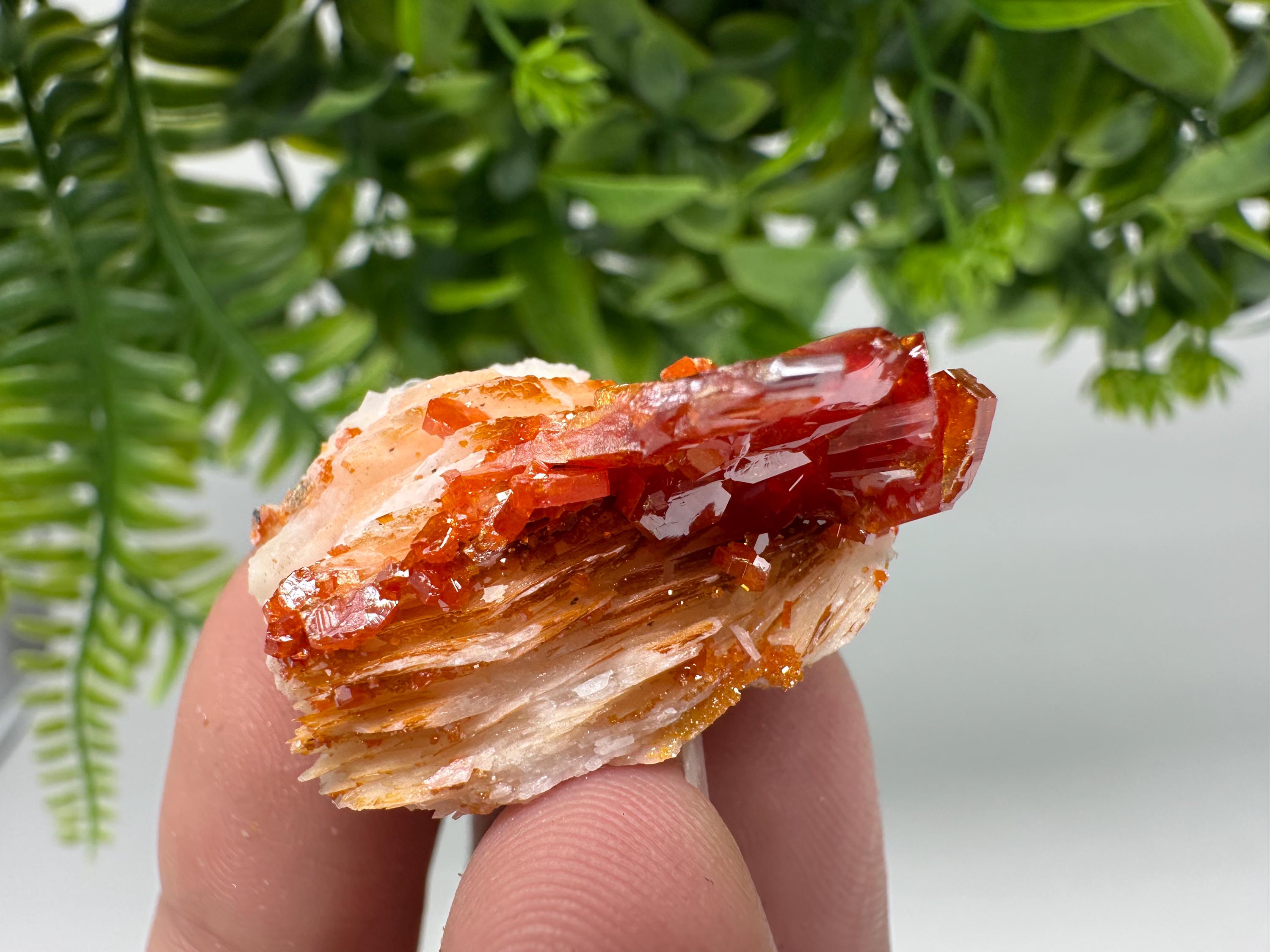 Red Vanadinite Crystal Cluster on Barite, Morocco Mineral Specimen