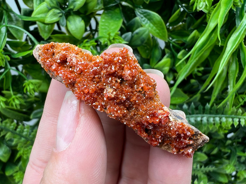 Red Vanadinite on Barite from Marocco,crystal minerals Speciment cluster Vanadinite crystal Vanadinite Geology Vanadinite cluster minerals