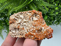 Red Vanadinite on Matrix from Marocco,crystal minerals Speciment cluster Vanadinite crystal Vanadinite Geology Vanadinite cluster minerals