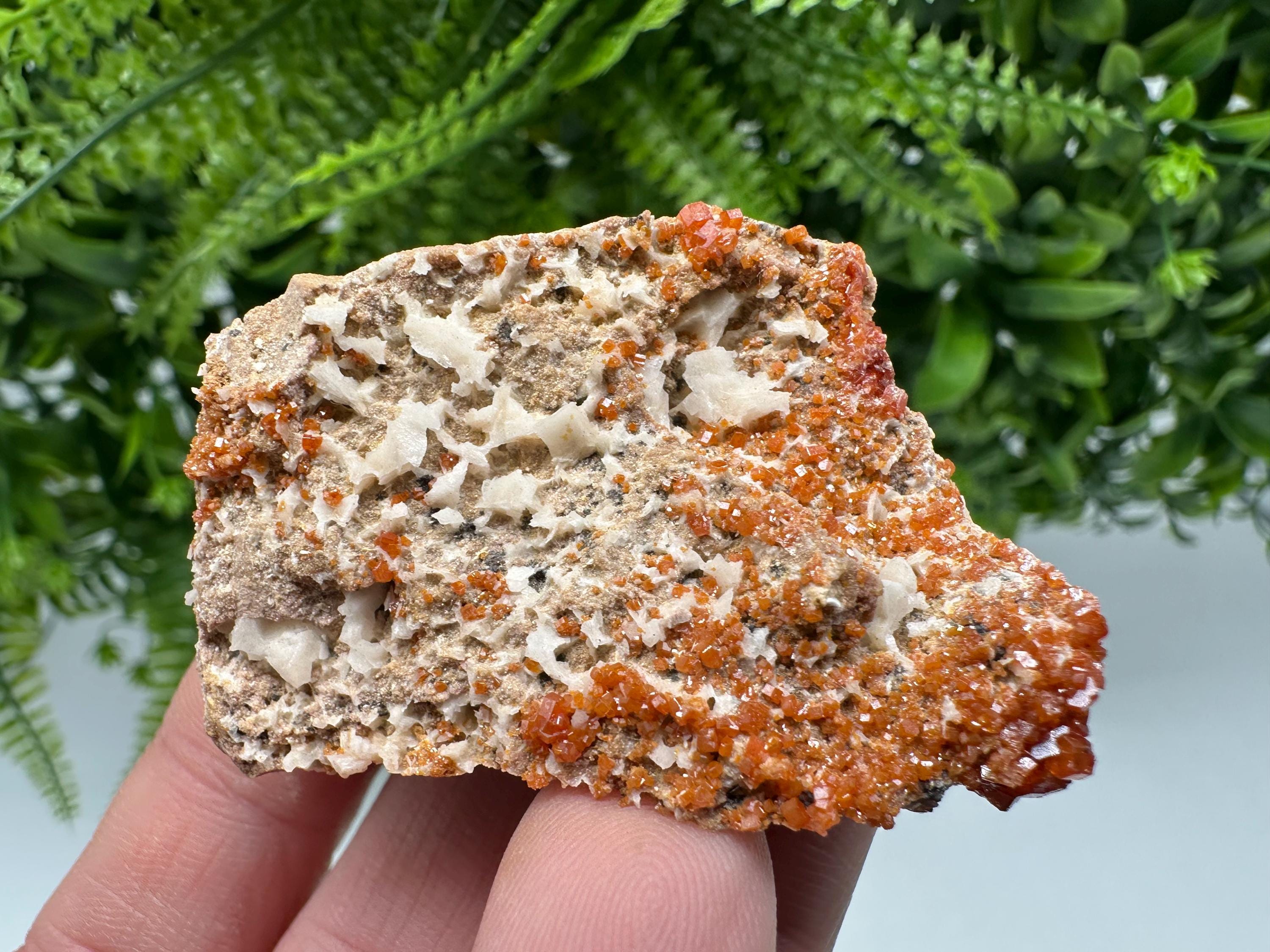 Red Vanadinite on Matrix from Marocco,crystal minerals Speciment cluster Vanadinite crystal Vanadinite Geology Vanadinite cluster minerals
