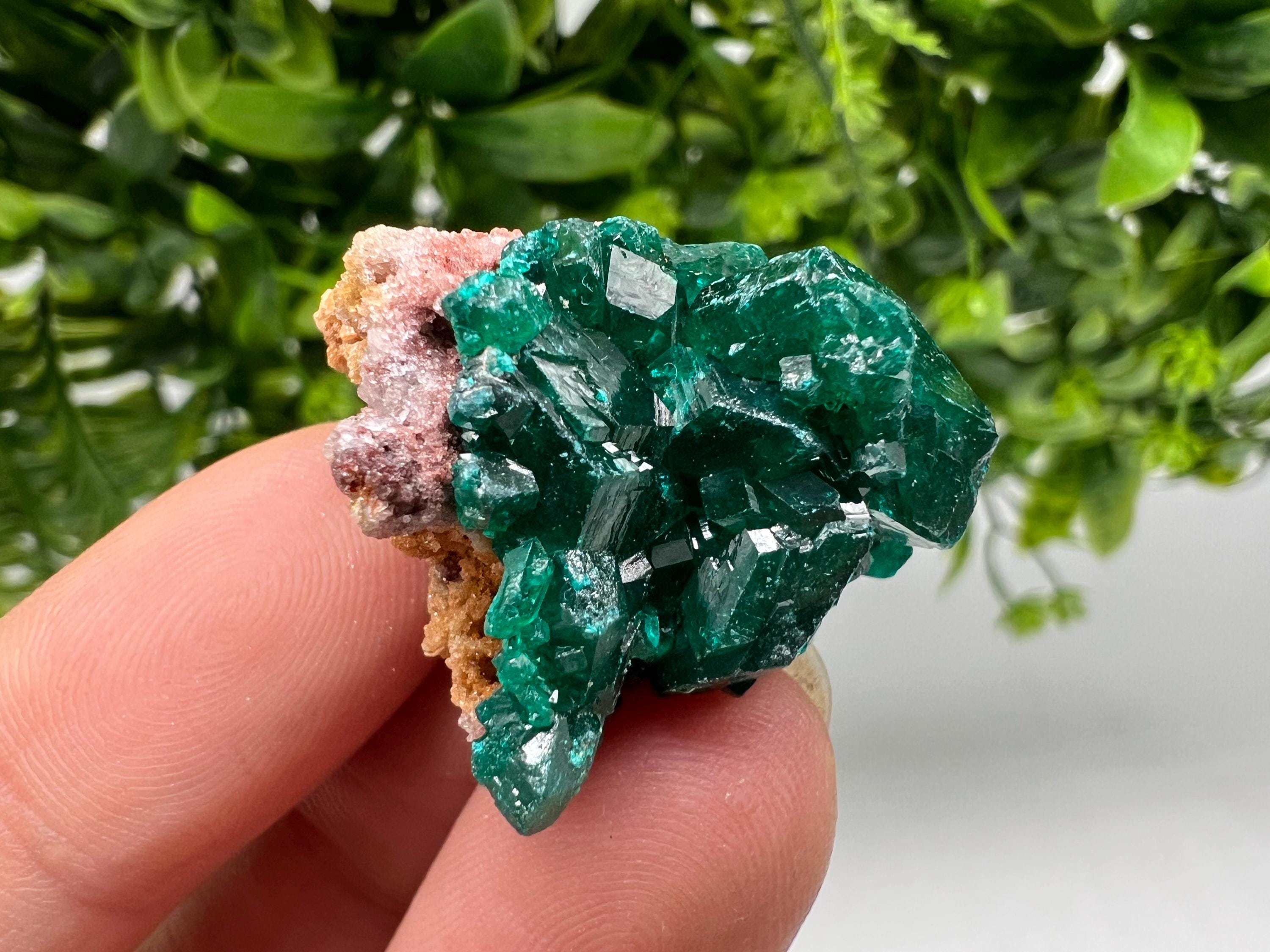 Green Dioptase Crystal, Mindouli Congo