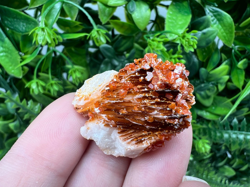 Red Vanadinite on Barite from Marocco,crystal minerals Speciment cluster Vanadinite crystal Vanadinite Geology Vanadinite cluster minerals