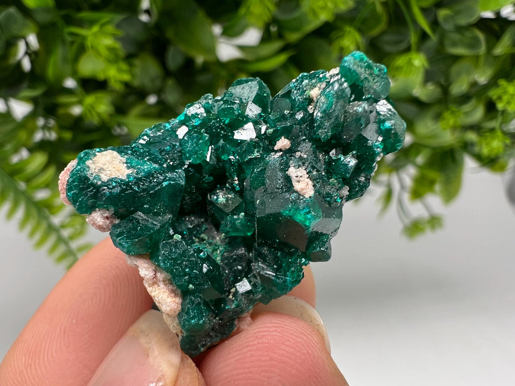 Stunning Green Dioptase from Sanda Hills,Mindouli,Pool Department,Mindouli District,Congo,green Dioptase,Dioptas Crystal,Dioptase collecting