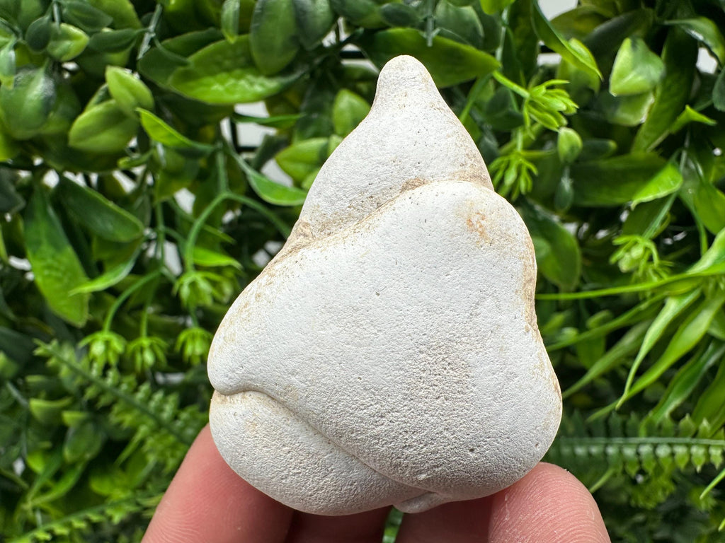 Menalite Crystal: White Fairy Stone, Moroccan A+ Grade