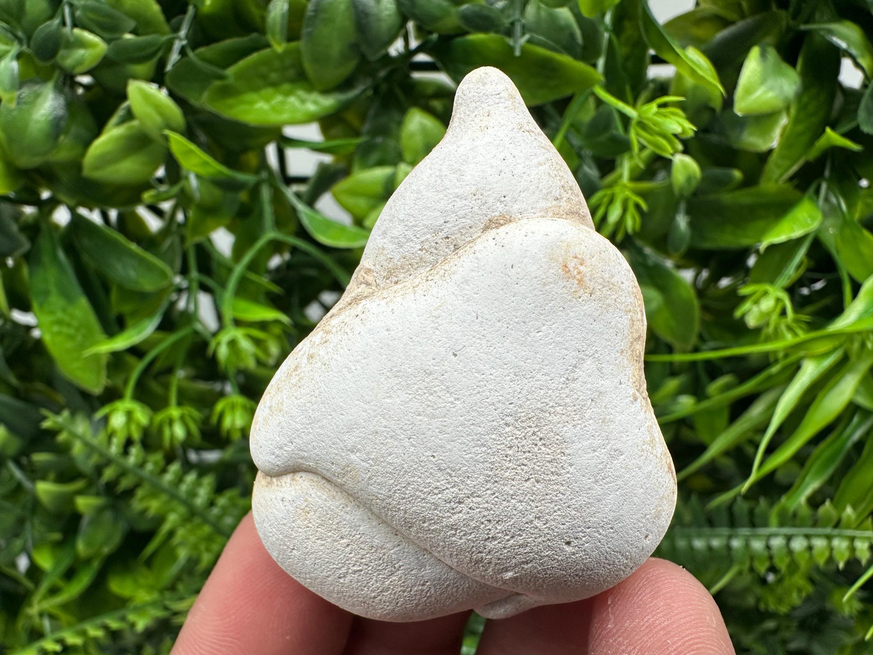 Menalite Crystal: White Fairy Stone, Moroccan A+ Grade