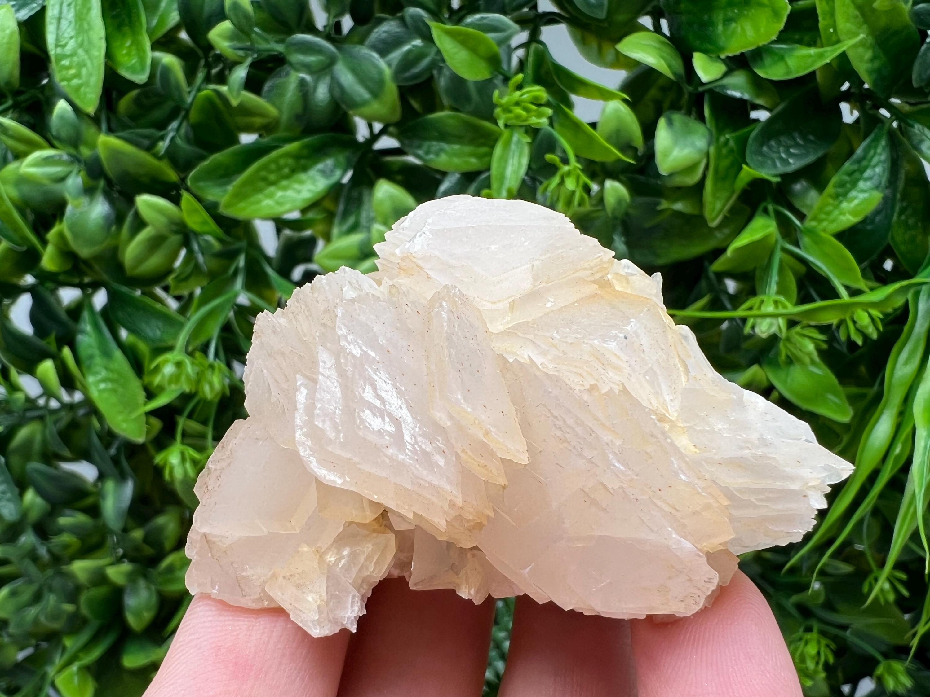Calcite & Chlorite Crystal: Borieva Mine, Bulgaria