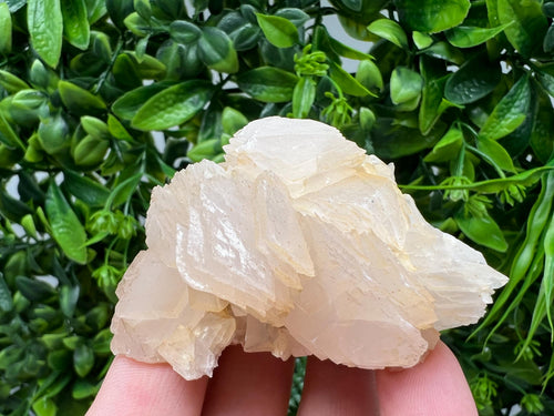Calcite & Chlorite Crystal: Borieva Mine, Bulgaria