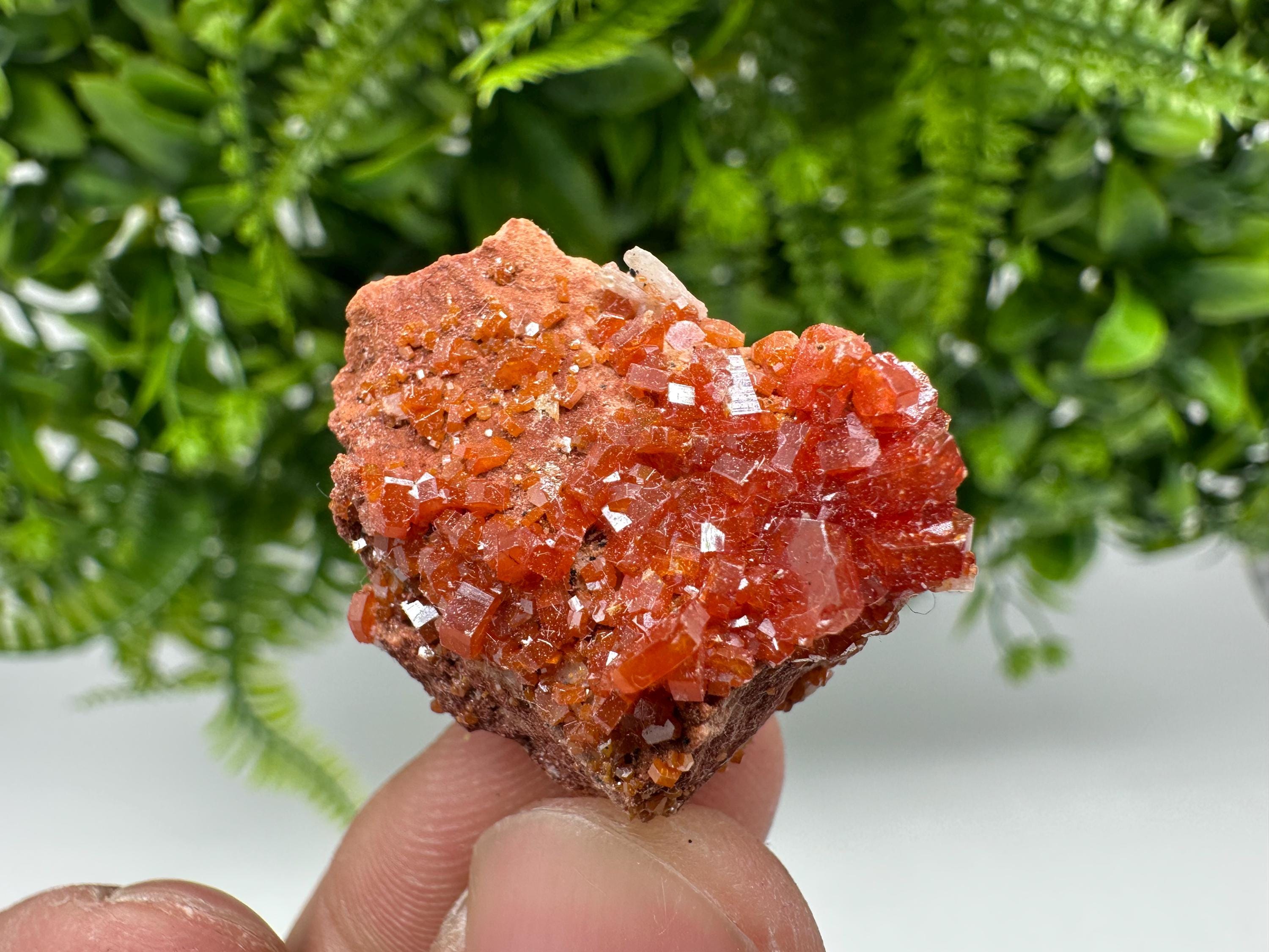 Red Vanadinite Crystal Cluster on Barite, Morocco Mineral Specimen