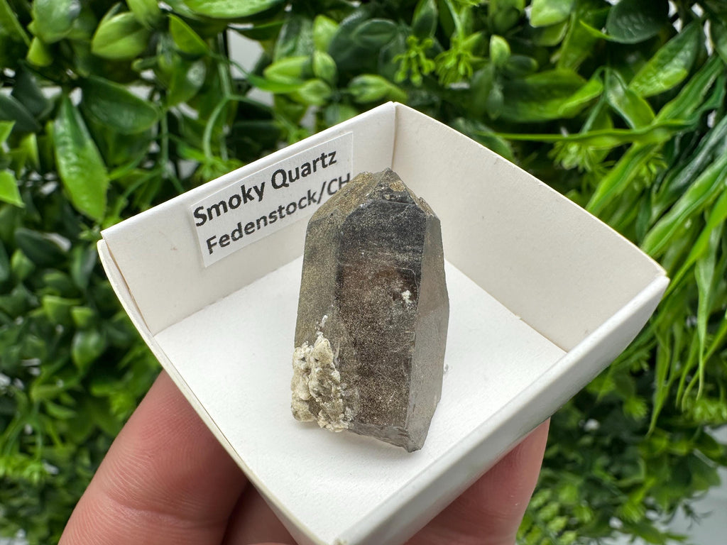 Rare Smoky Quartz Point from Fedenstock Switzerland (35mm)