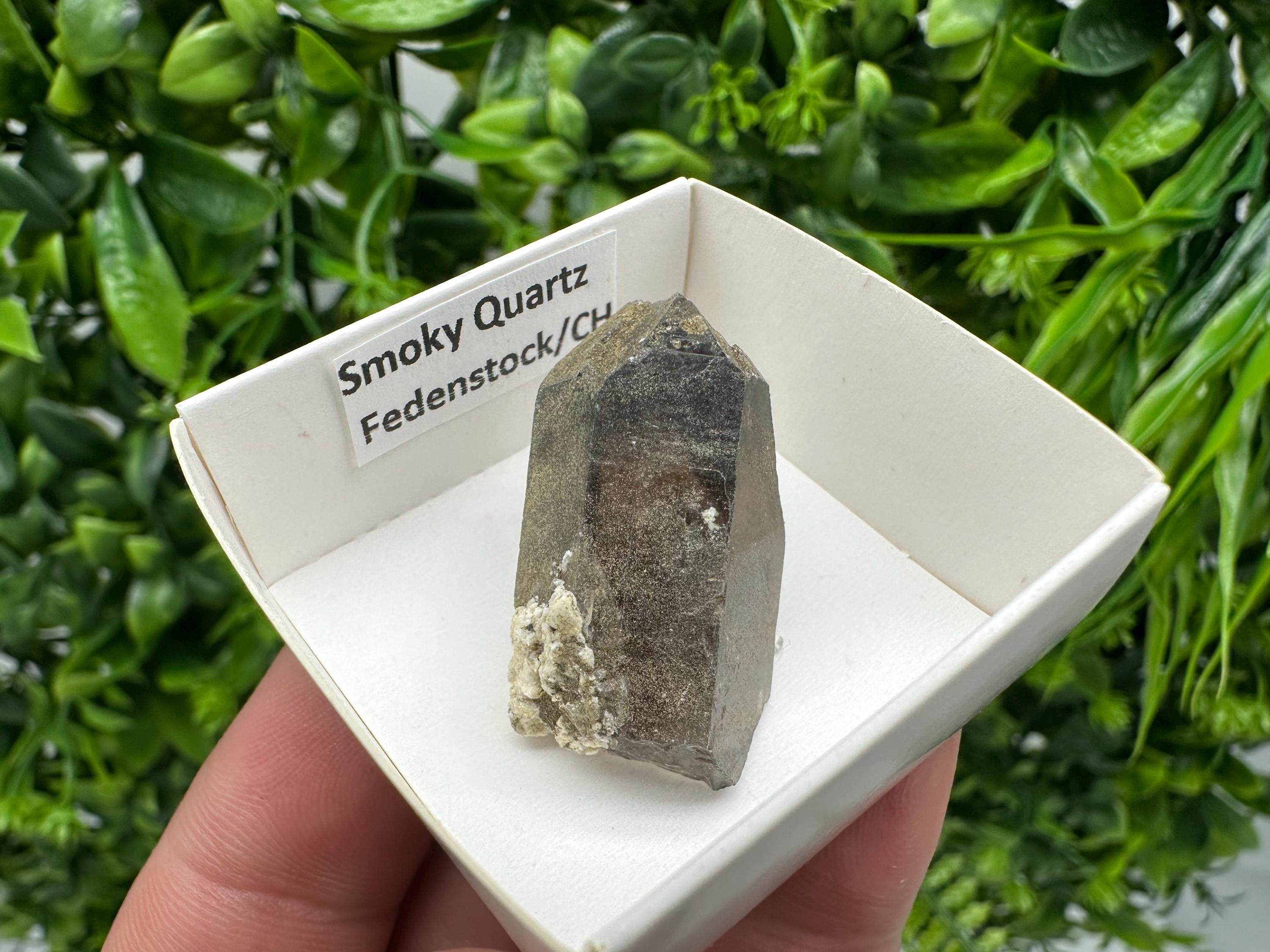 Rare Smoky Quartz Point from Fedenstock Switzerland (35mm)