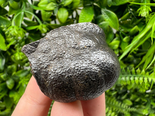 Botryoidal Black Hematite Specimen: Moroccan Crystal, Chakra Reiki