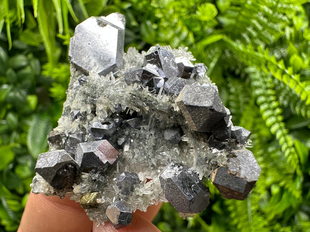 Skeletal Galena on Quartz, Borieva Mine Mineral Specimen