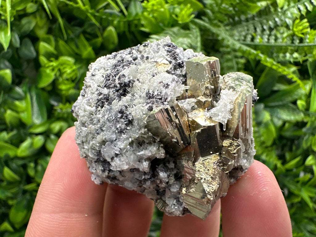 Sphalerite Pyrite on Quartz with Chlorite, Borieva Mine Mineral Specimen