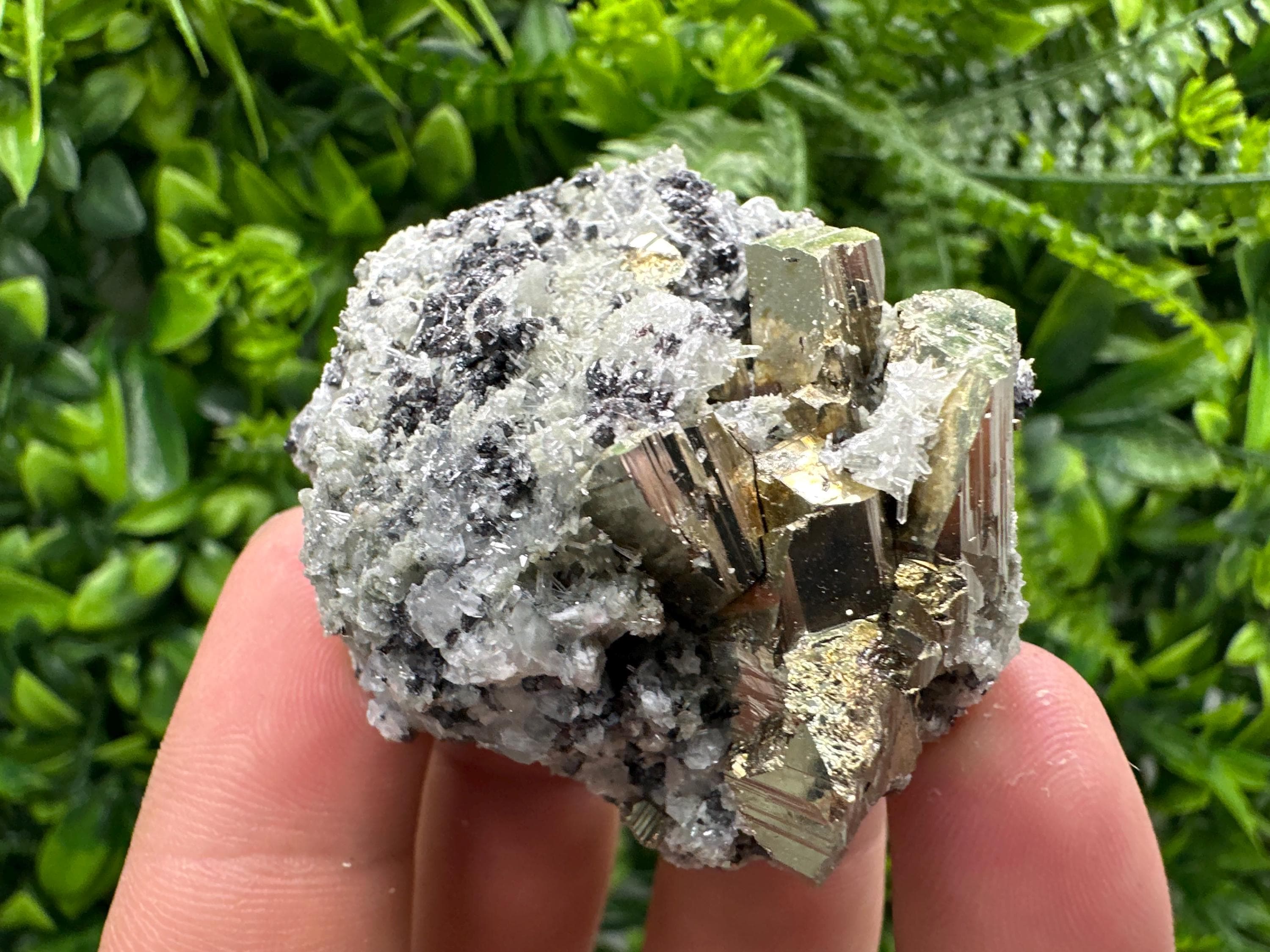 Sphalerite Pyrite on Quartz with Chlorite, Borieva Mine Mineral Specimen