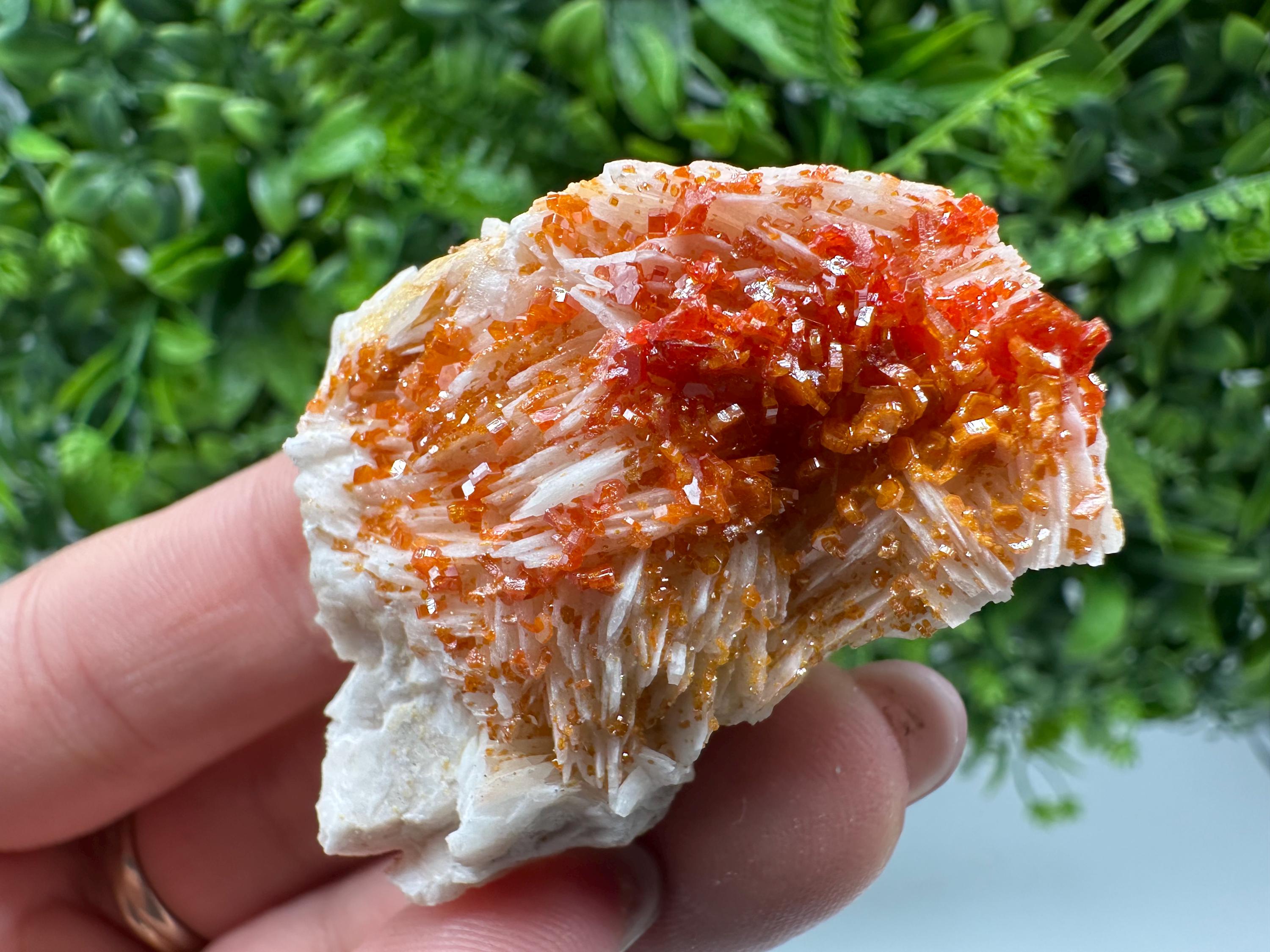 Red Vanadinite Crystal Cluster on Barite, Morocco Mineral Specimen