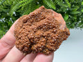 Red Vanadinite on Matrix from Marocco,crystal minerals Speciment cluster Vanadinite crystal Vanadinite Geology Vanadinite cluster minerals