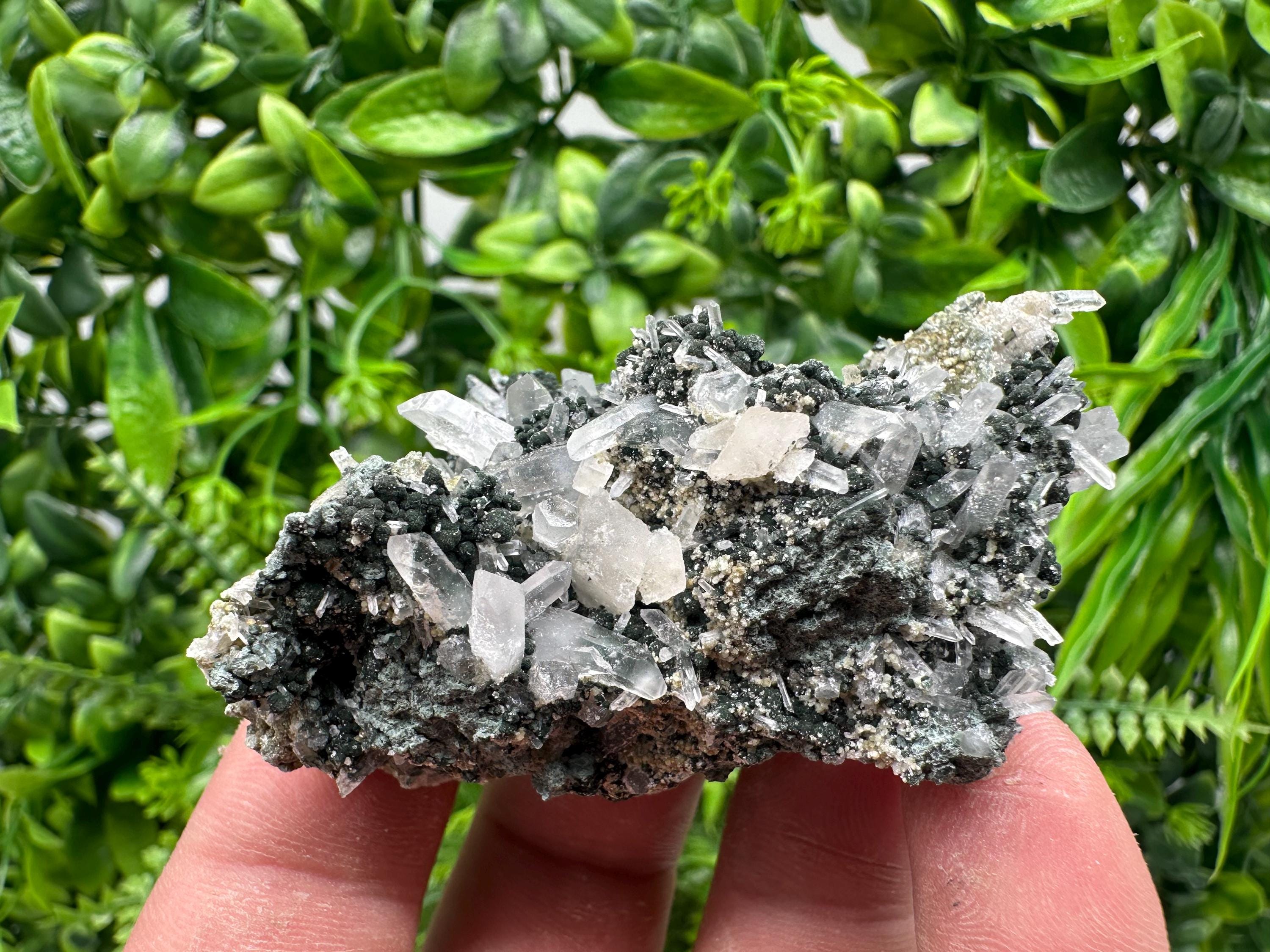 Transparent Quartz on Chlorite Matrix, Bulgaria Mineral Specimen