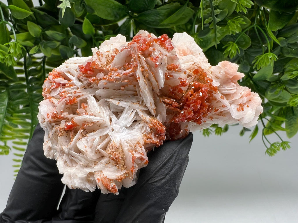 Red Vanadinite on Barite from Marocco,crystal minerals Speciment cluster Vanadinite crystal Vanadinite Geology Vanadinite cluster minerals