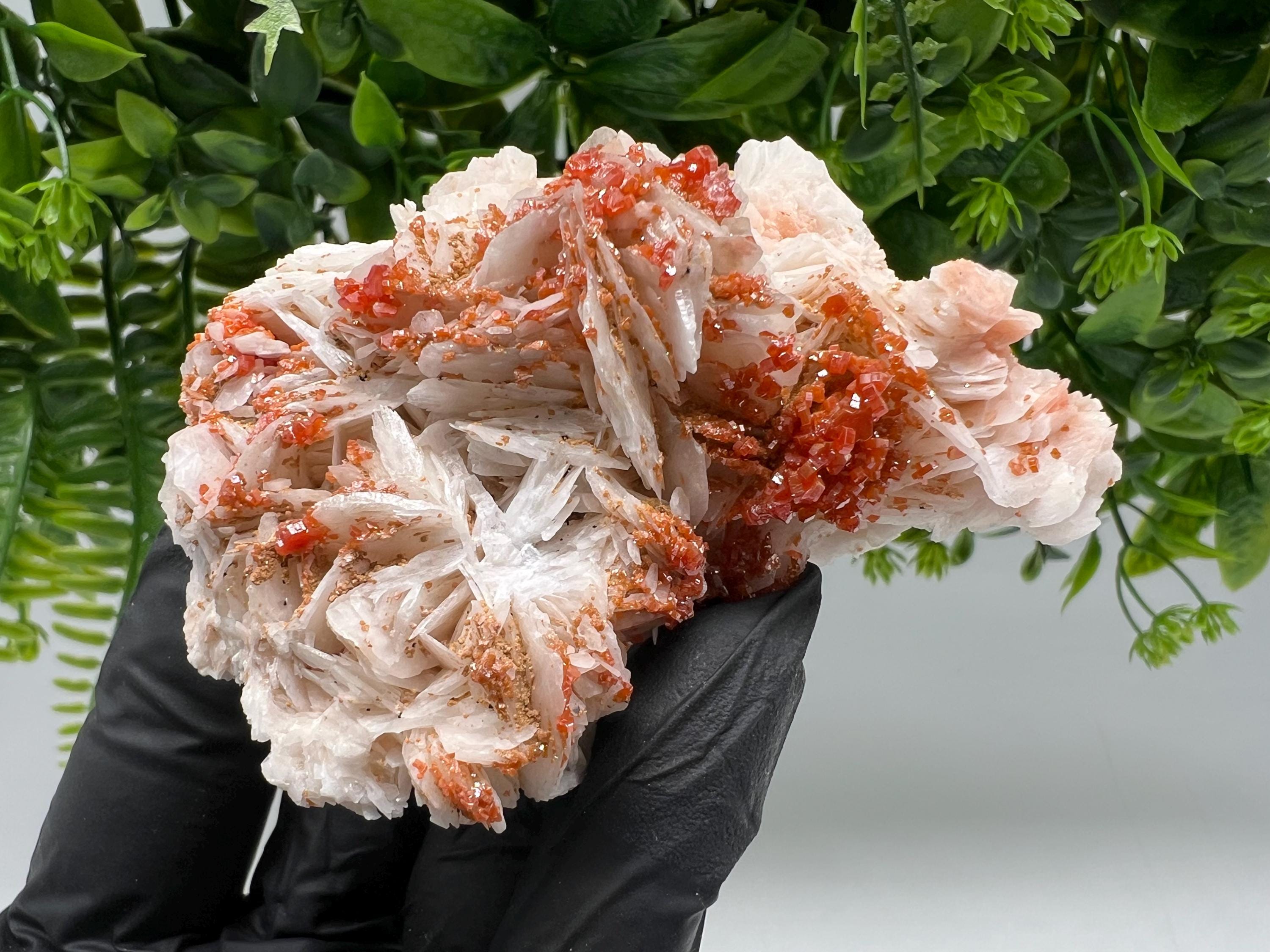 Red Vanadinite on Barite from Marocco,crystal minerals Speciment cluster Vanadinite crystal Vanadinite Geology Vanadinite cluster minerals