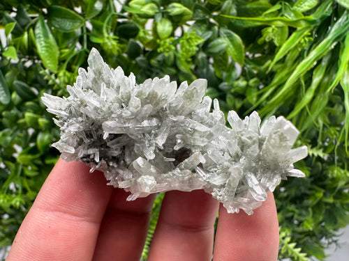 Chlorite Included Green Quartz Crystal Specimen: Madan, Bulgaria