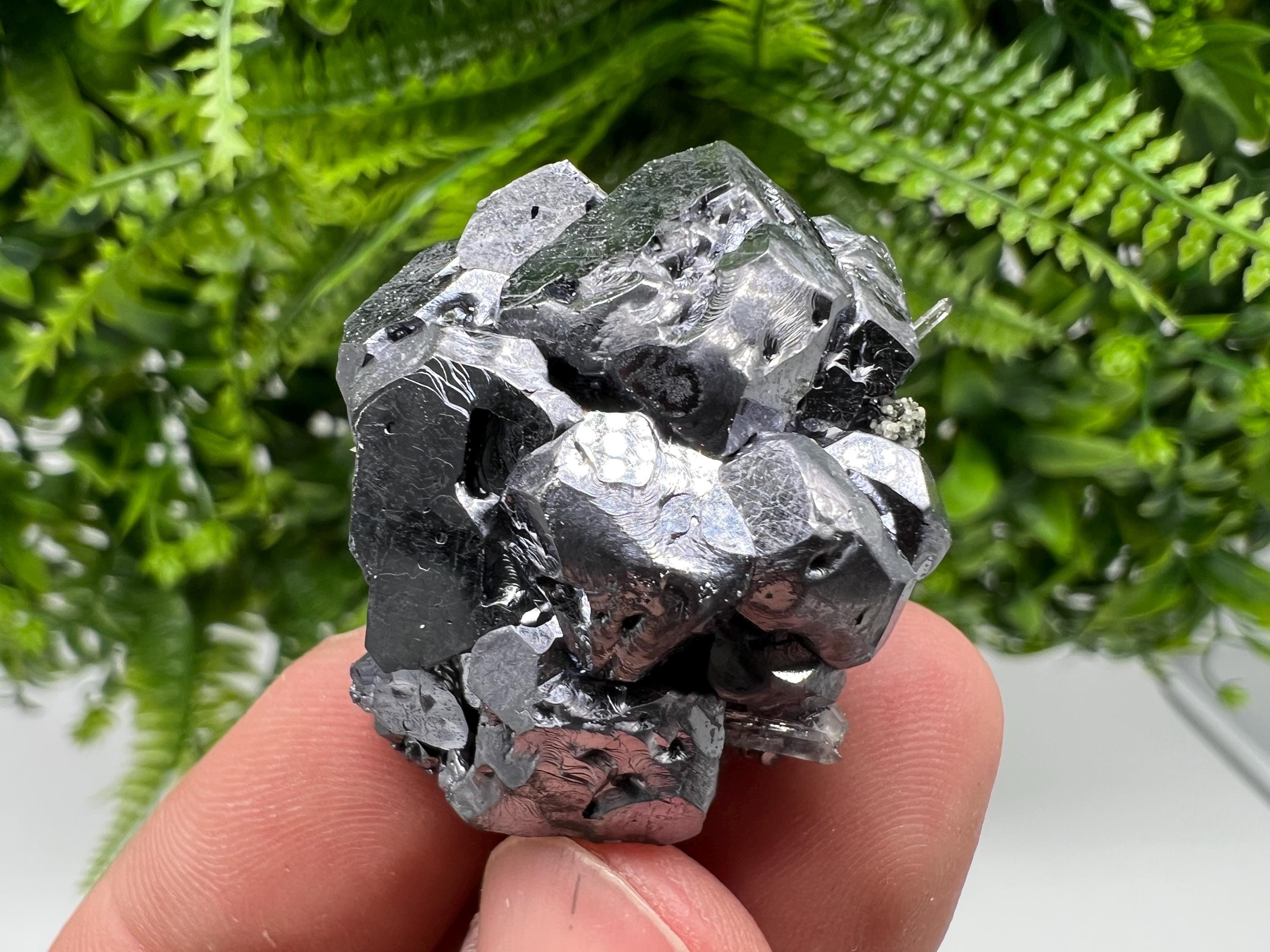 Skeletal Galena on Quartz, Borieva Mine Mineral Specimen