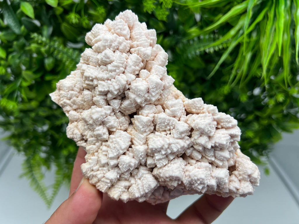 Pink Manganocalcite Mineral Specimen, Krushev dol Mine, Bulgaria