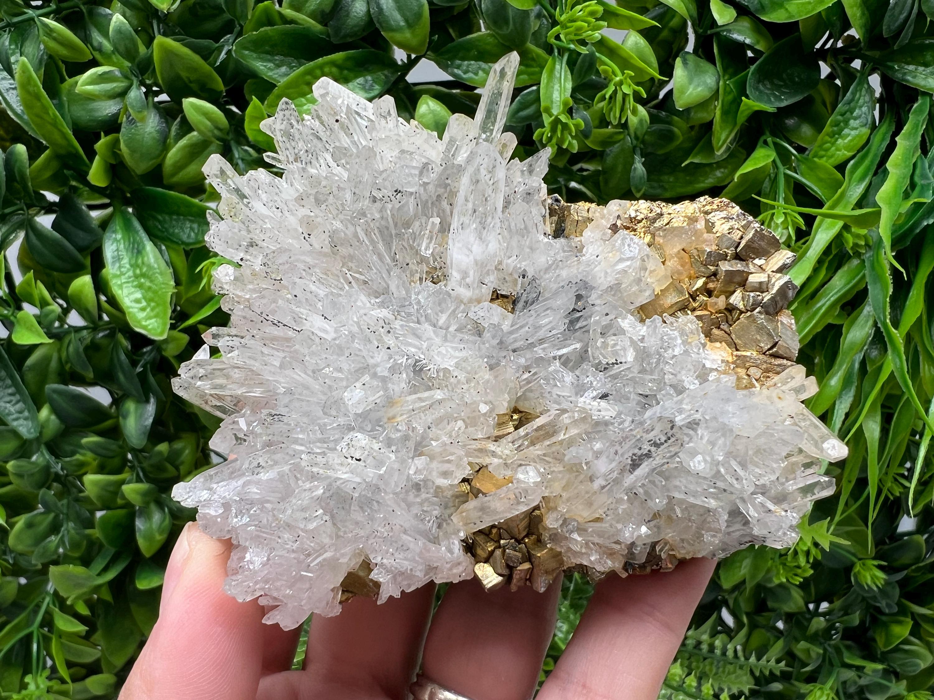 Stunning Transparent Quartz,from Borieva mine,natural collection mineral specimen rare crystal,home decor crystal,quartz cluster,Quartz,gift