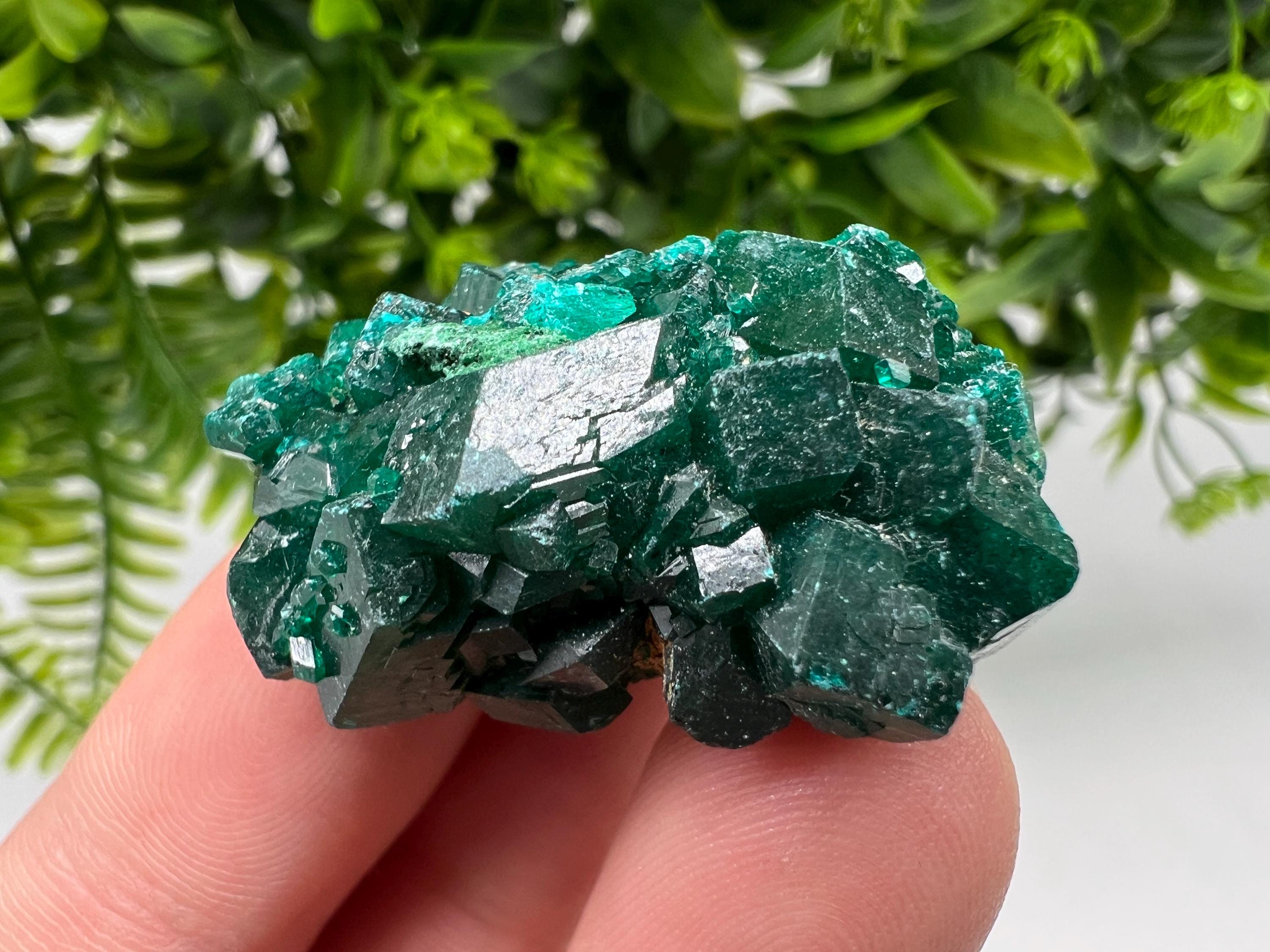 Green Dioptase Crystal Cluster, Sanda Hills Congo