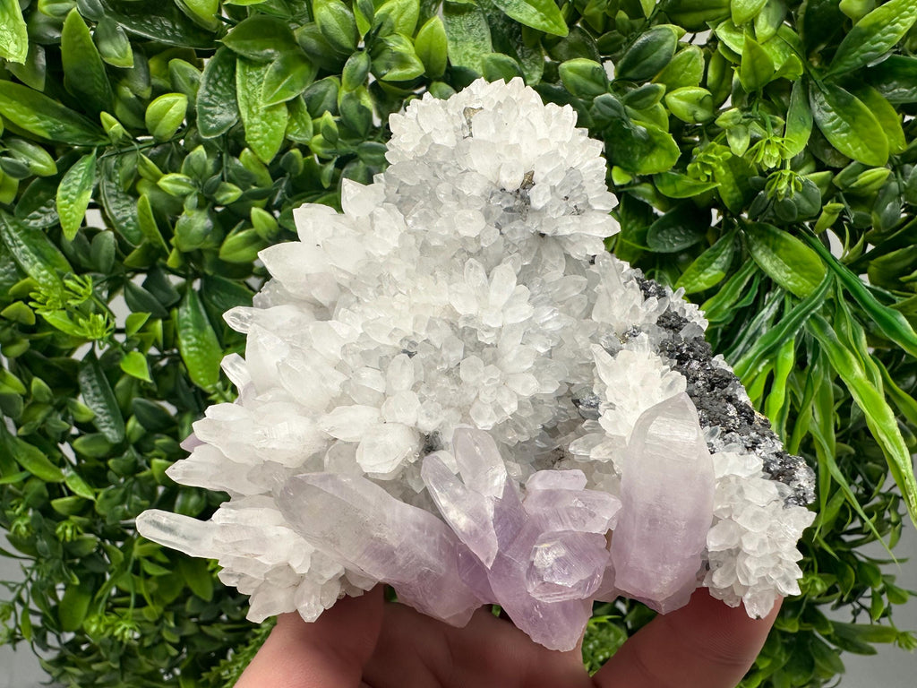 Quartz with Amethyst and Spahelrite, Djurcovo Mine, Bulgaria