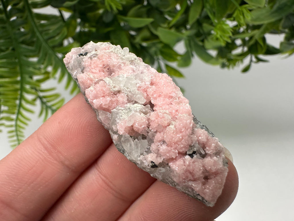 Pink Rhodochrosite Crystal: Starnica Mine, Bulgaria, Home Decor
