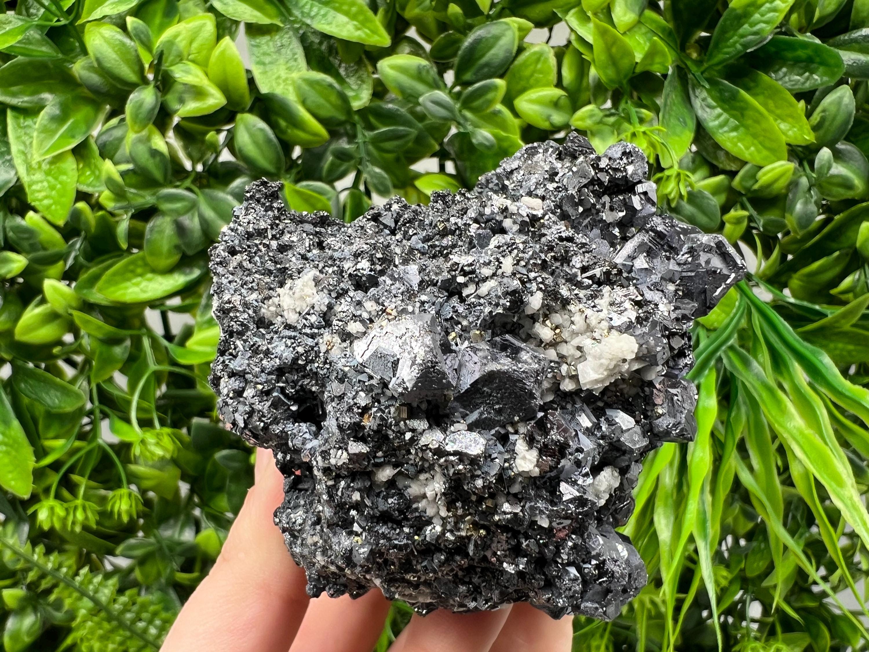 Galena Spinel Law on Sphalerite, Madan Bulgaria Mineral Specimen
