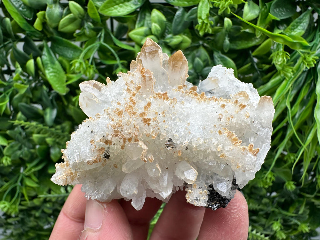 Quartz Sphalerite Chalcopyrite Mineral Specimen, Madan Bulgaria