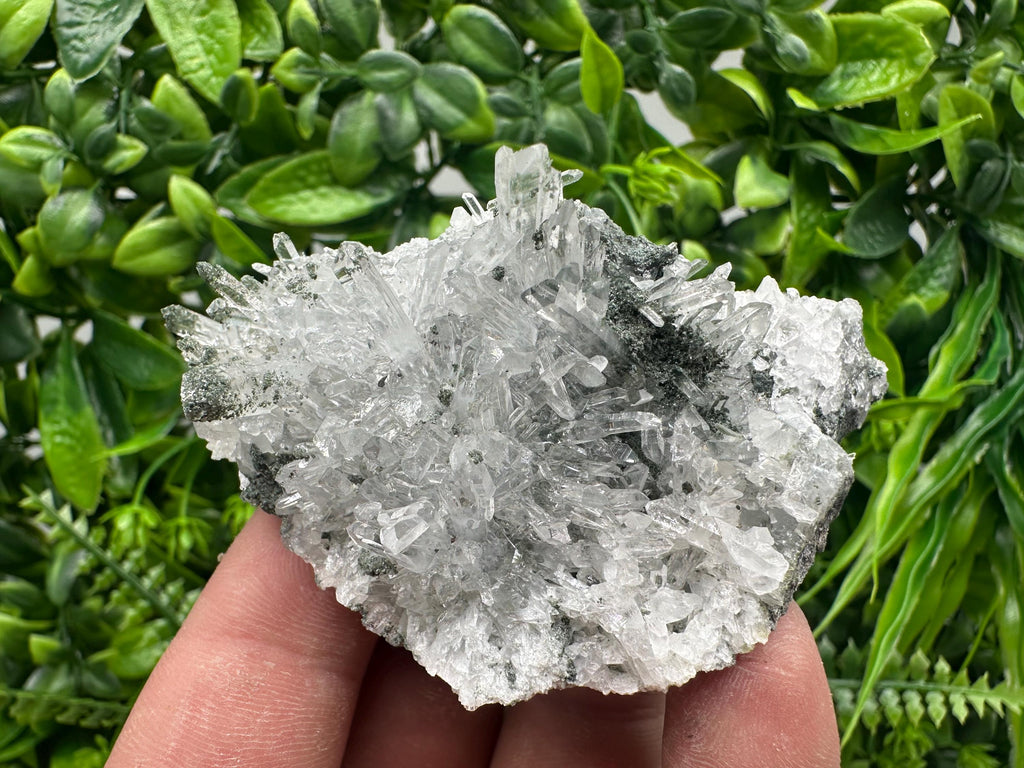 Transparent Quartz on Chlorite Matrix - Borieva Mine, Bulgaria