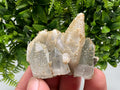 Quartz,Calcite whit Brown Rhodochrosite from Djurcovo mine,Bulgaria,Quartz,Rhodochrosite cluster,natural mineral,collection crystal,mineral