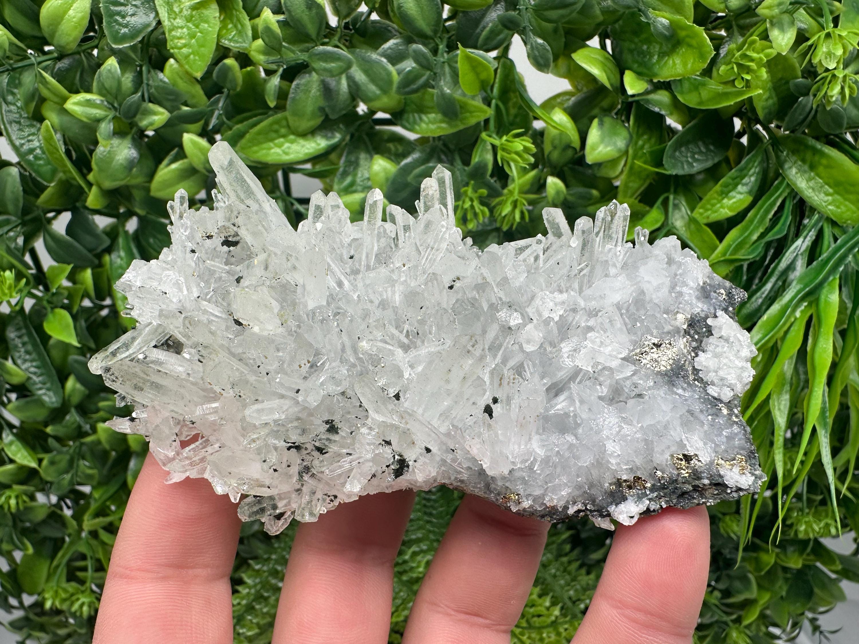 Chlorite Quartz Crystal Cluster: Borieva Mine, Bulgaria